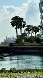 The Reef At King’s Dock (D4), Condominium #464993081